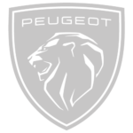 PEUGEOT GRIS